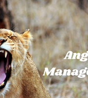 Anger Management Anger Management